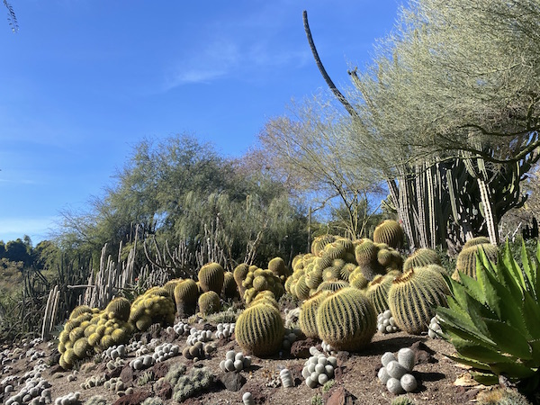 Desert