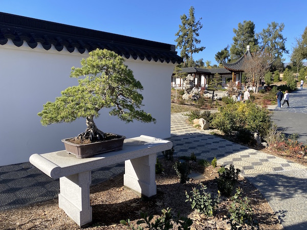 Chinese Garden