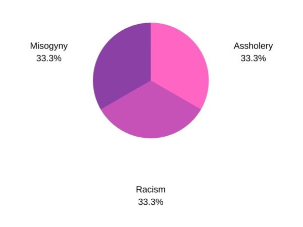 A pie chart showing 33.3% misogyny, 33.3% assholery, 33.3% racism.