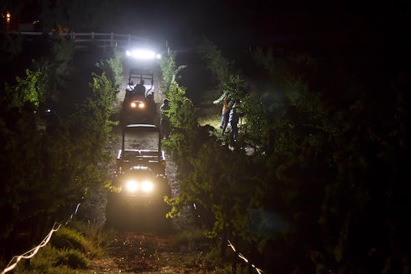 Night harvest