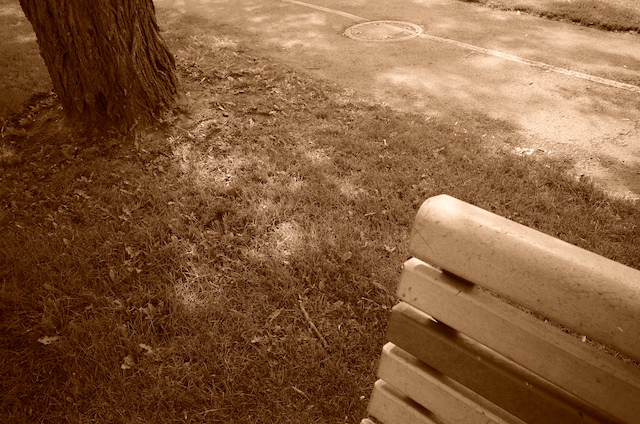 illustrates familiarity with public benches