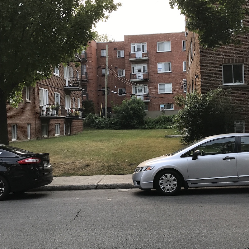 to show an unusual grassed over in-between-buildings place
