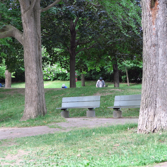 two benches of most uncomfortable design stand empty