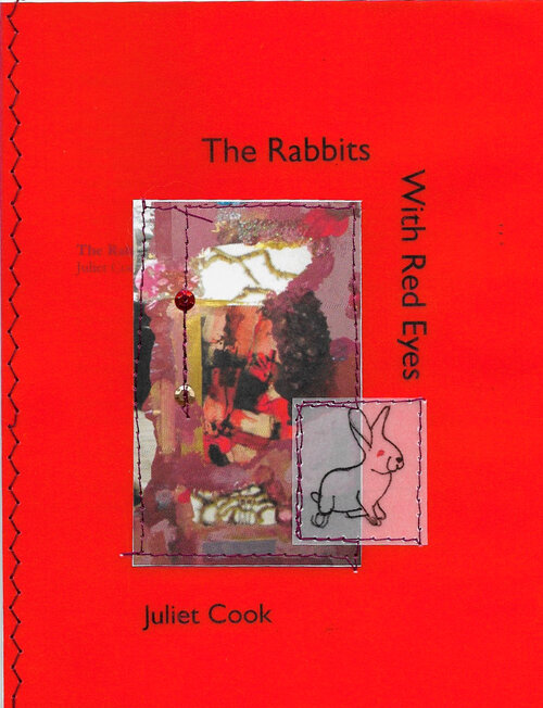 This is the front cover of THE RABBITS WITH RED EYES by Juliet Cook