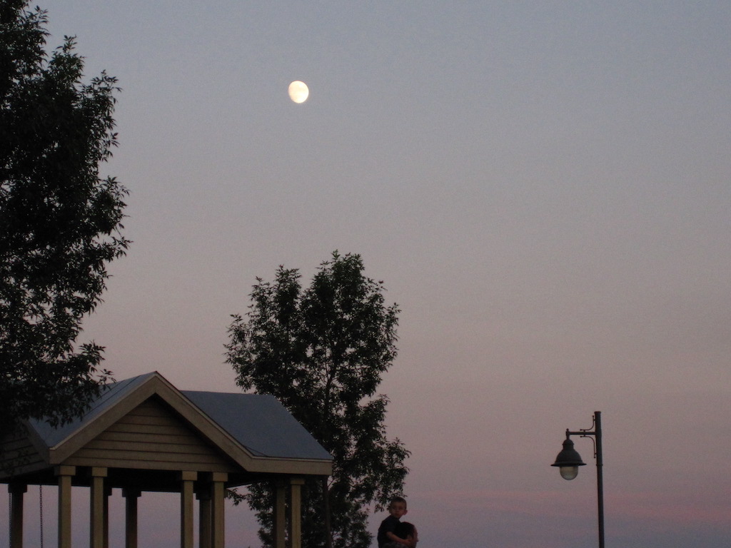 To illustrate how trees can reach the sky on the way to a dusk moon