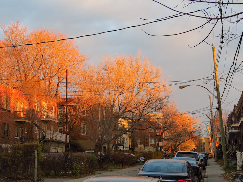 To illustrate how a row of trees at sunset can screen the façades of row houses
