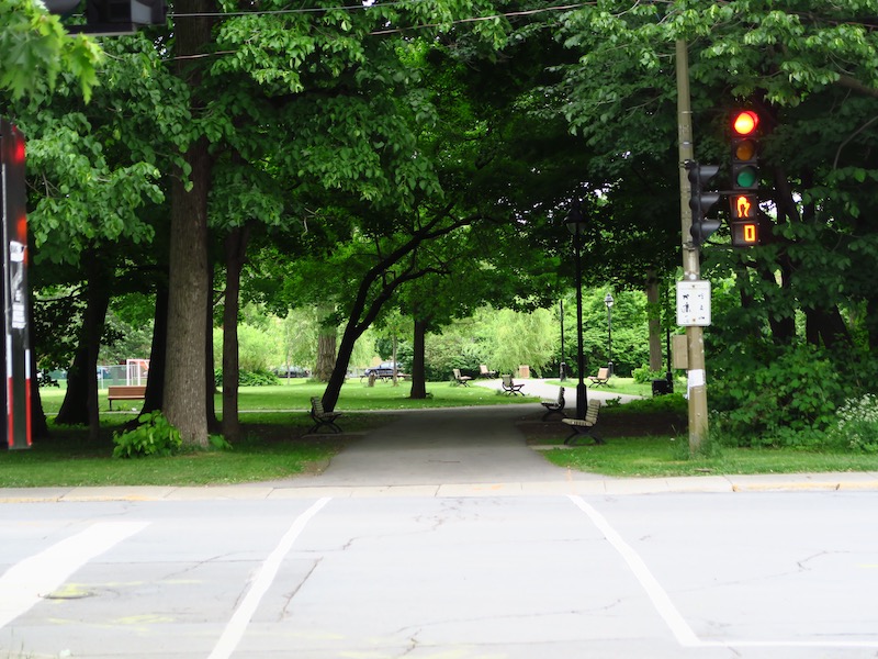 To illustrate how a gathering of trees can invite a gathering of people