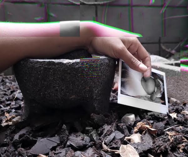 A hand holds a photo