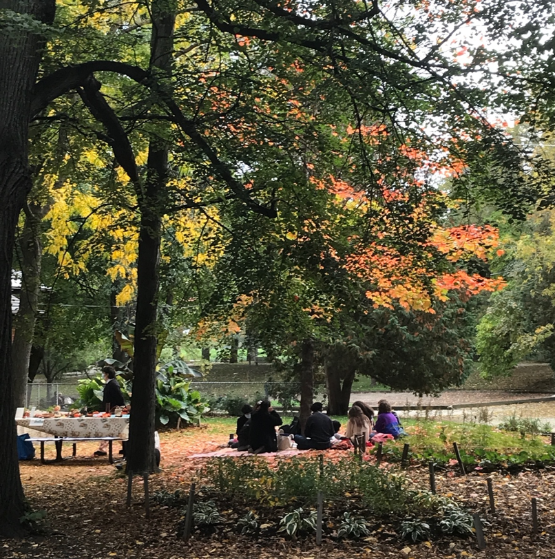 informal adaptation of picnic site