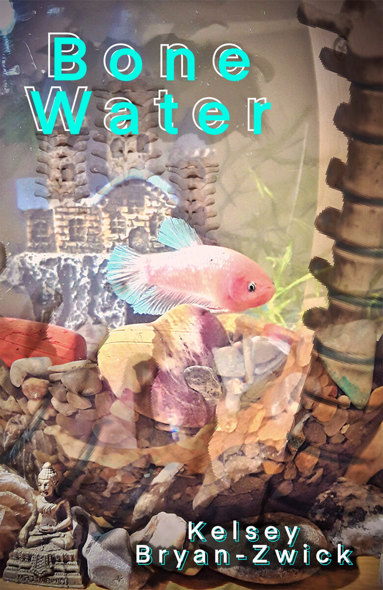 Book cover for BONE WATER by Kelsey Bryan-Zwick