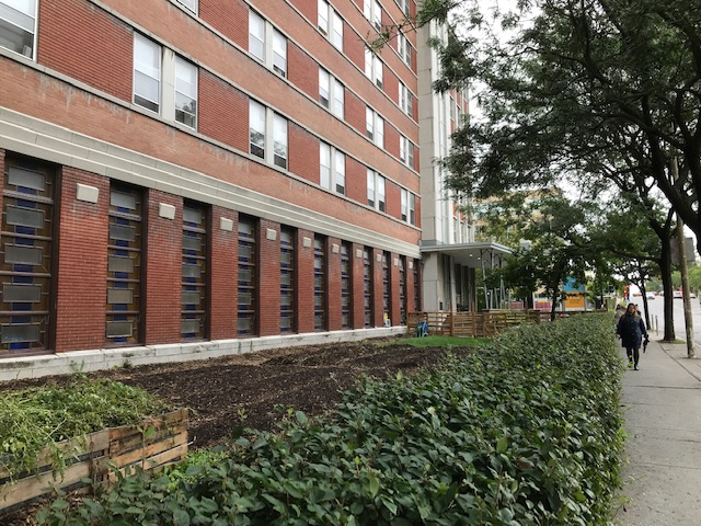 veggie garden by formal entrance