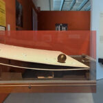 View of the model of the Italian pavilion