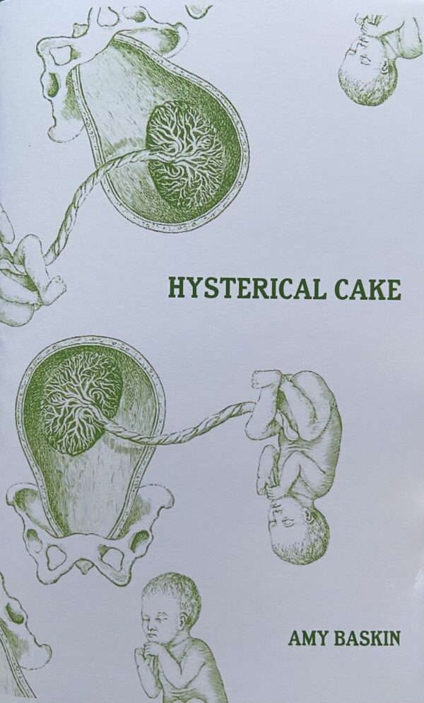 Book cover to HYSTERICAL CAKE by Amy Baskin