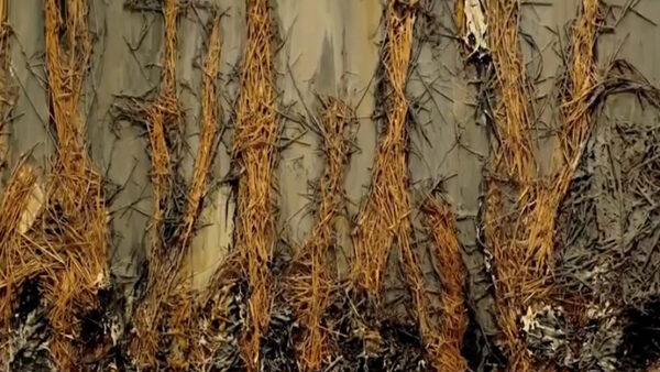 Painting made of straw remembering a loved one