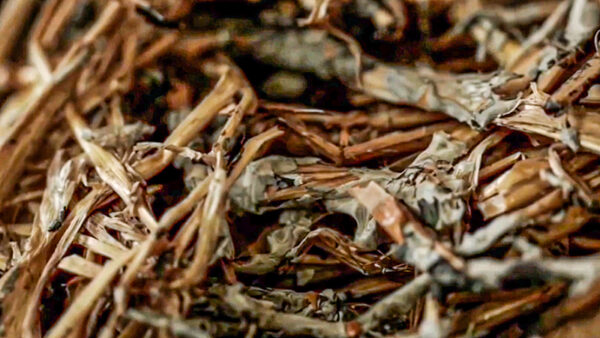 A close-up view of straw