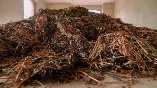 Pile of straw in a room
