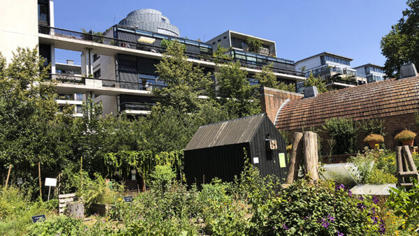 Community garden in the city