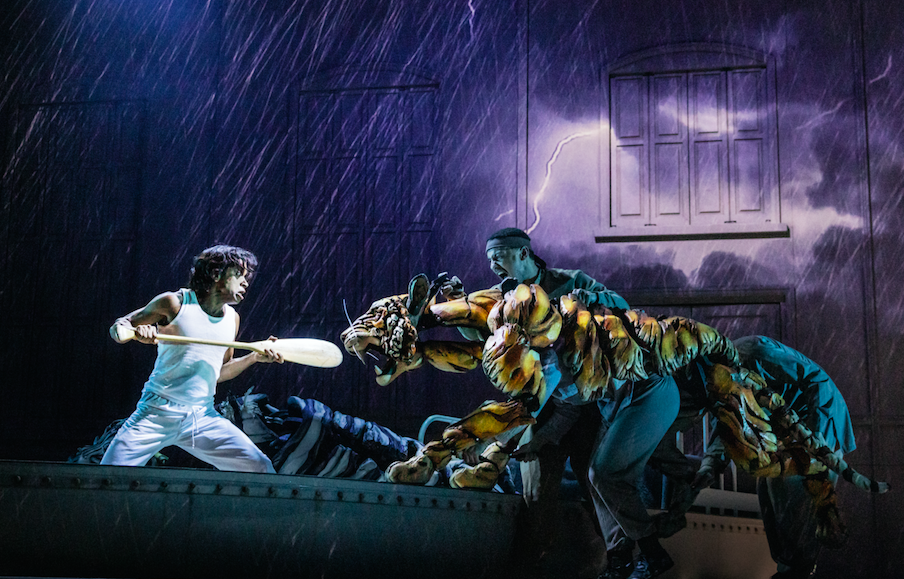 Life of Pi