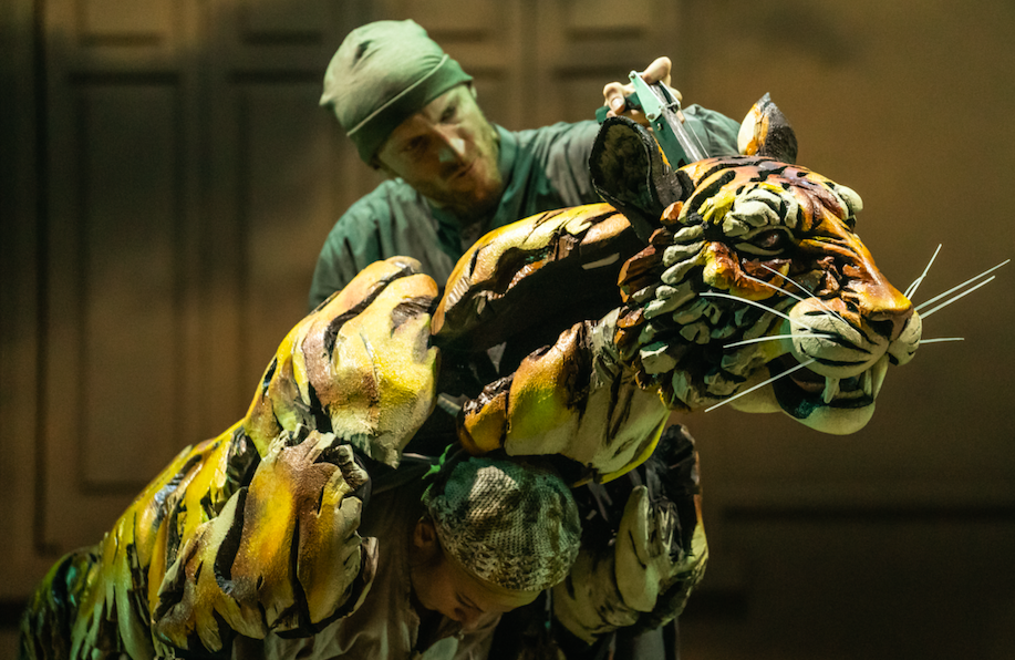 Life of Pi