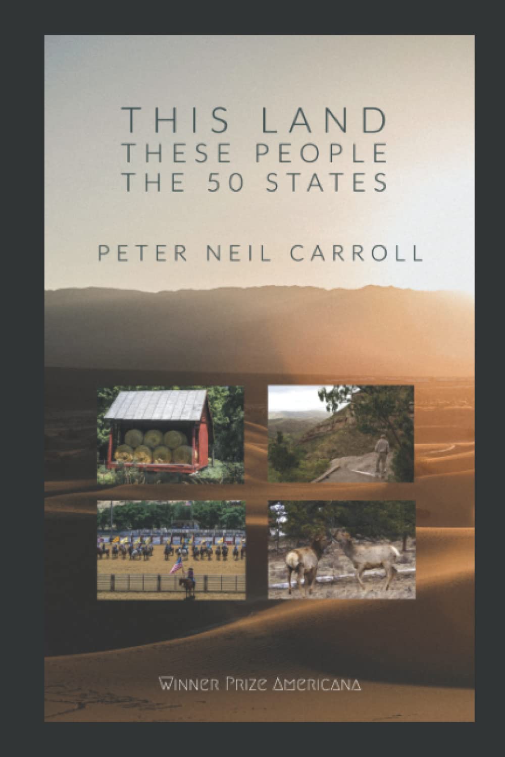 cover of This Land, These People: The 50 States by Peter Neil Carroll