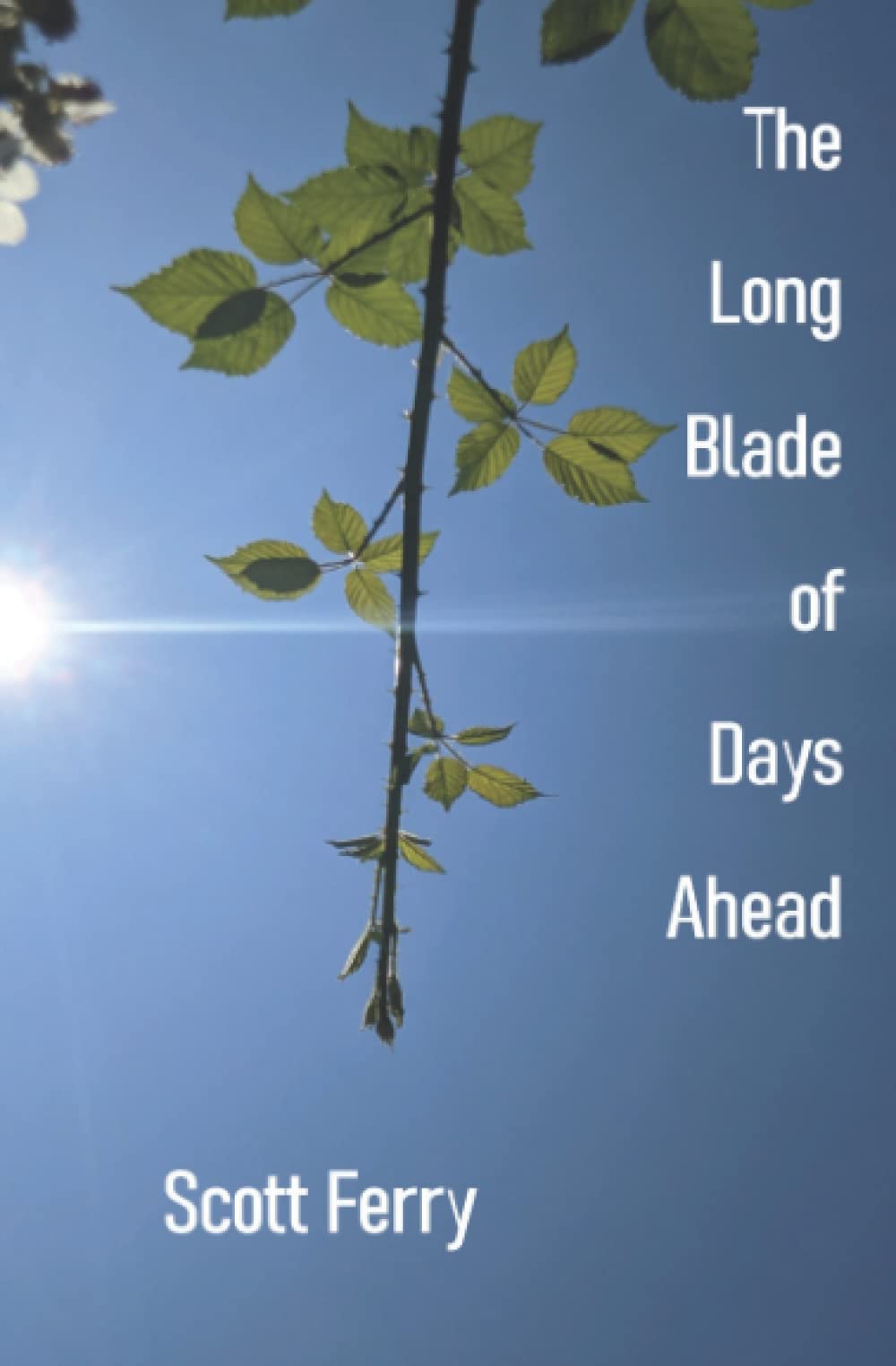 cover of The Long Blade of Days Ahead by Scott Ferry