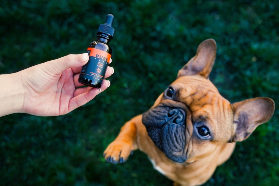 CBD for pets