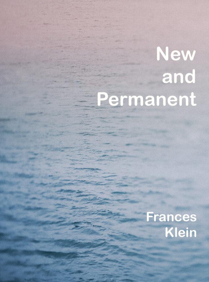 cover of New and Permanent by Frances Klein