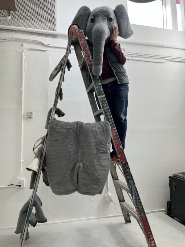 A man on a ladder with an elephant head