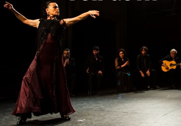 A flamenco dancer in front of musicians