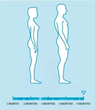 human diagram for PhenQ