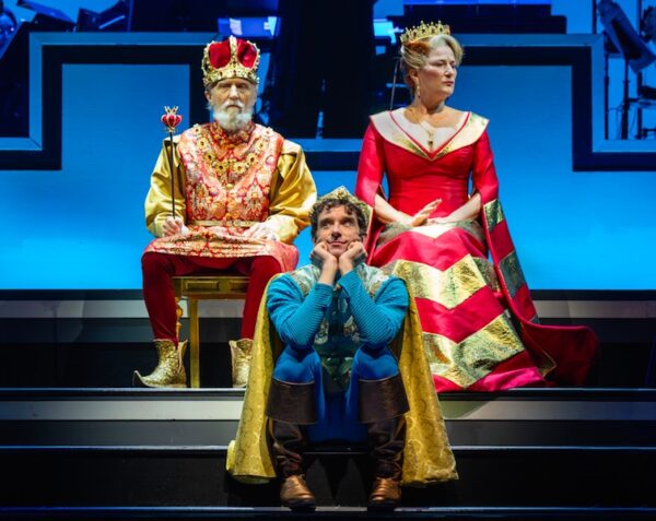 Once Upon a Mattress