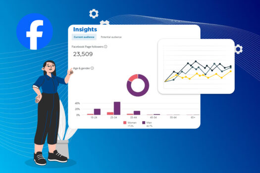 Utilize Facebook Insights