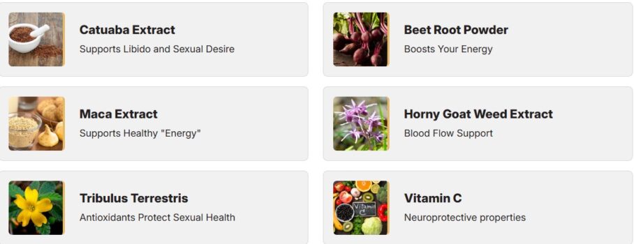 List of ingredients and descriptions in AlphaBites.