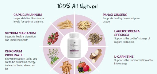 Fitspresso graphic displaying benefits