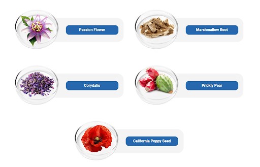Graphic displaying NervoVive ingredients