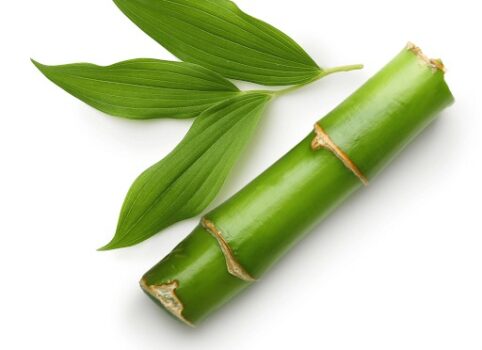 Prostalite ingredient Phyllostachys Edulis Extract.