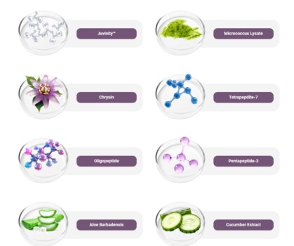 Graphic showing key ingredients in RenewRitual.