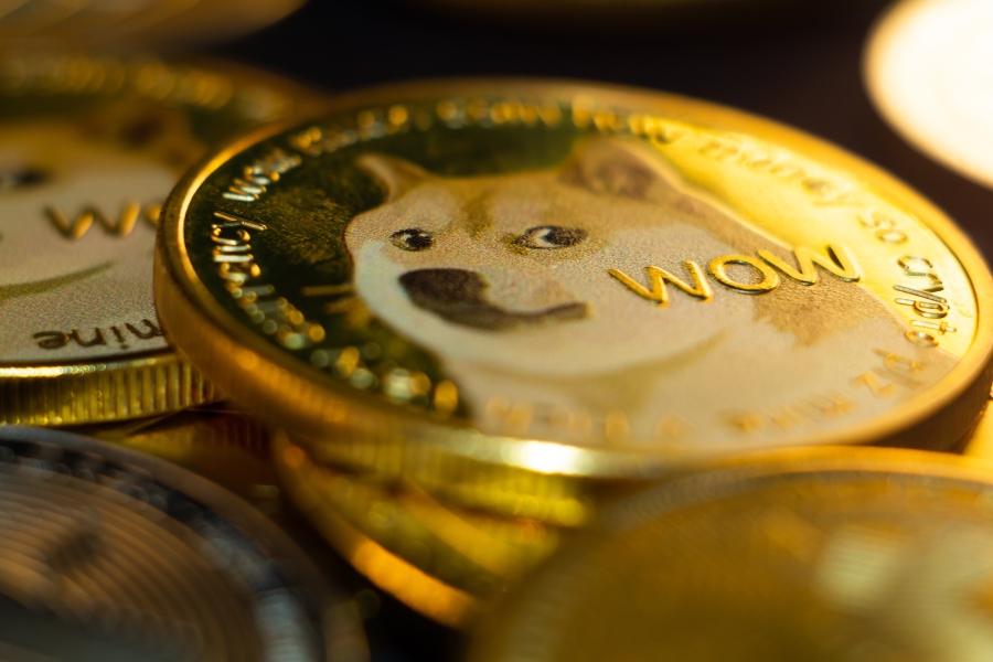 DOGE altcoin