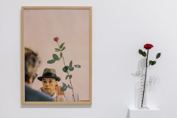 Joseph Beuys, We Won’t Do It Without the Rose, 1972, color reproduction on paper (left), and Rose for Direct Democracy, 1973, live rose in graduated glass cylinder; installation photograph by Joshua White/JWPictures.com, courtesy of the Broad.