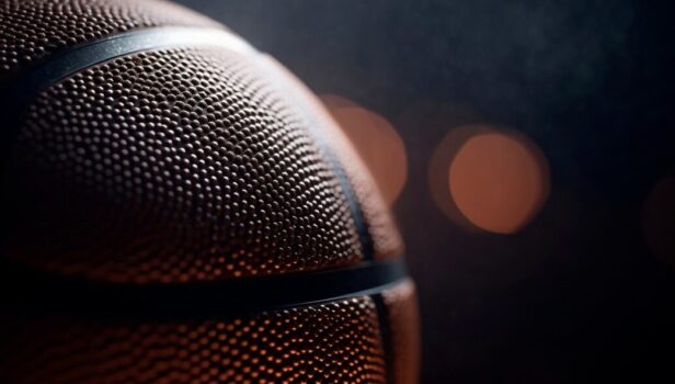 View of one-quarter of a basketball.