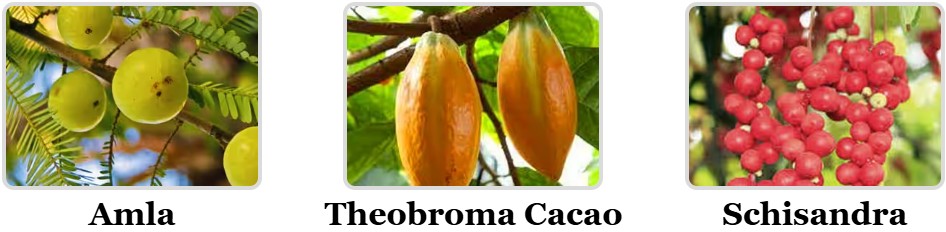 More Mitolyn Ingredients.