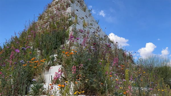 View of a planted pyramide