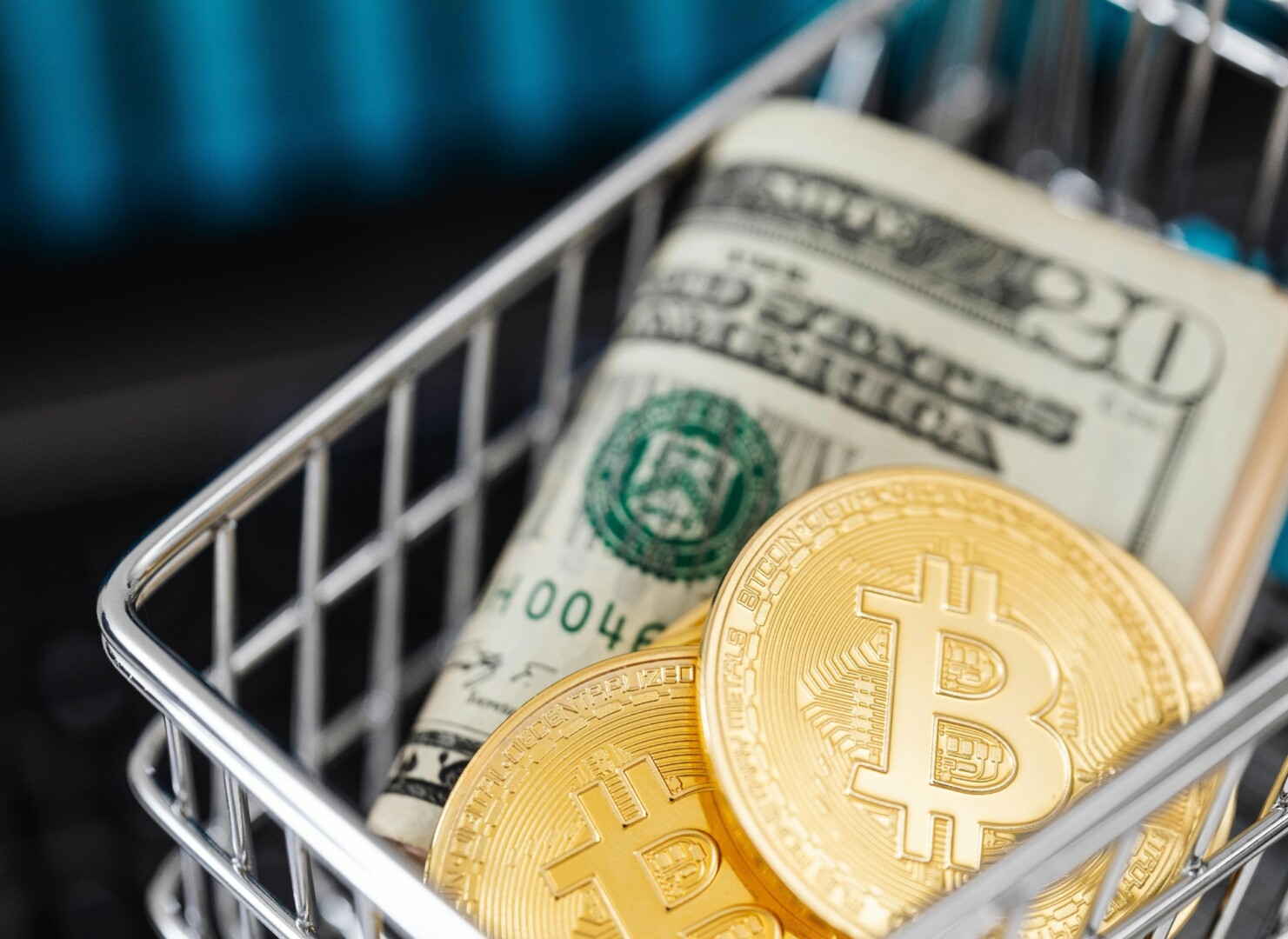 Are Crypto-Friendly Seed Banks the Future ?- Cultural Daily