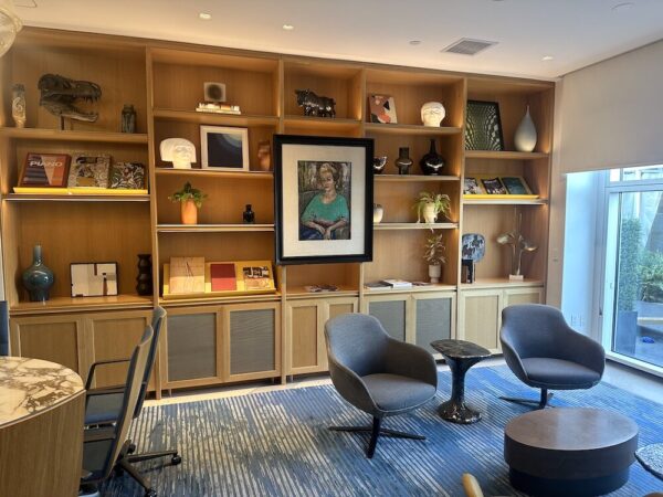 A meeting room with bookshelves at the Viceroy