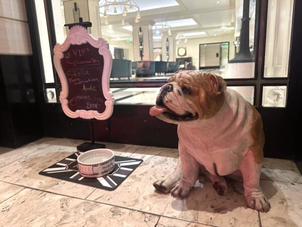 The British bulldog is the hotel's mascot.