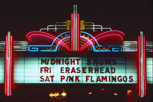 Pink Flamingos