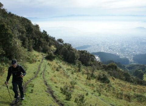 man in a black jacket walking in the grass field