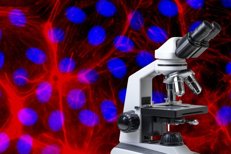 Ways Scientists Use Light to Unlock the Secrets of Cells