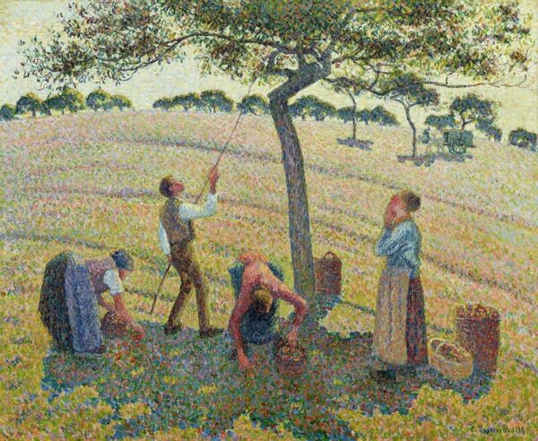 Camille Pissarro (1830-1903), Apple Harvest, 1888, oil on canvas; Dallas Museum of Art, Munger Fund.
