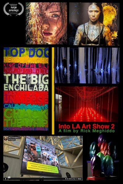Poster of the documentary Into LA Art Show 2